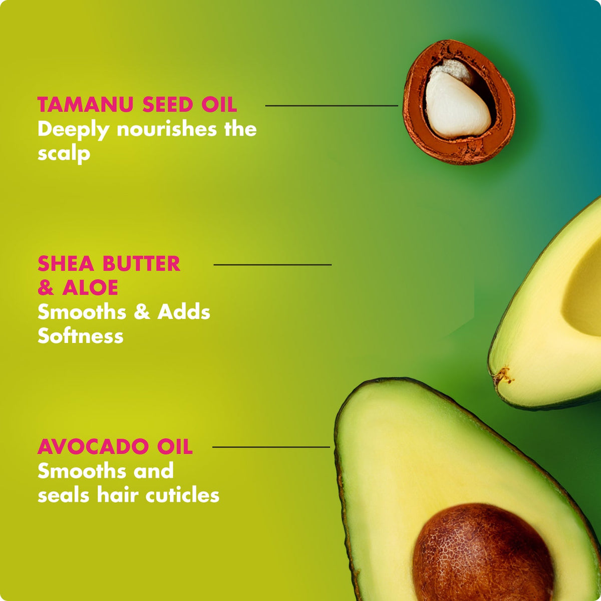Avocado & Tamanu Anti-Frizz Curl Perfector